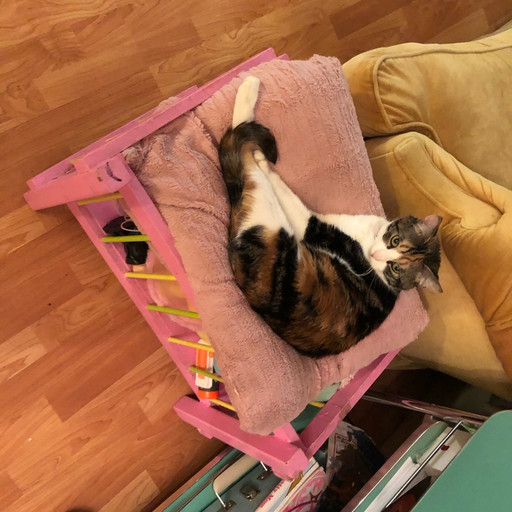 Meet your Posher, Shawn